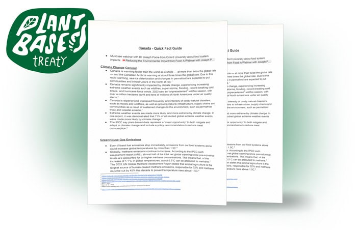 Mockup-papers