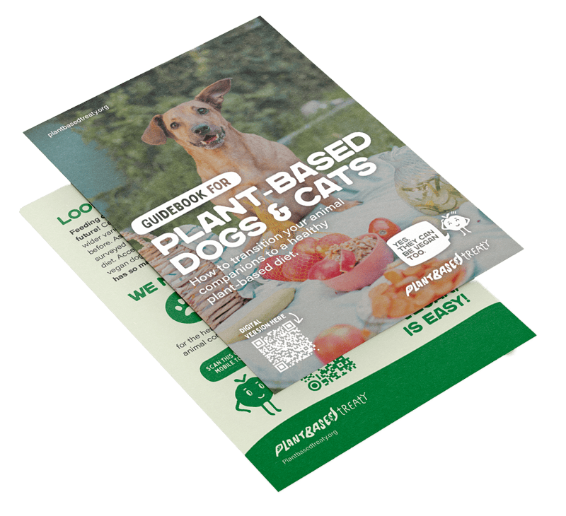 MOCKUP-new